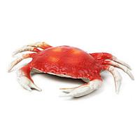 Toy Foods Animal Plastics Unisex