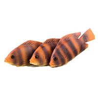 Toy Foods Fish Plastics Unisex