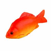 Toy Foods Fish Plastics Unisex
