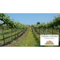 Tour and Wine Tasting for Two at Three Choirs Vineyard, Gloucestershire