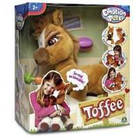 toffee the pony