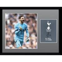 Tottenham Hotspur Hugo Lloris Signature Print