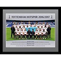 Tottenham Hotspur Team Photo Print
