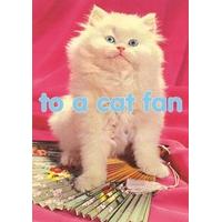 To A Cat Fan | Everyday Card