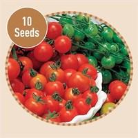 Tomato Sweet Million F1 10 Seeds