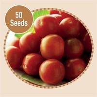 Tomato Gardener's Delight 50 Seeds