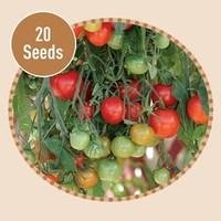 Tomato Tumbling Toms Red F1 20 Seeds