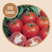 Tomato Alicante 200 Seeds