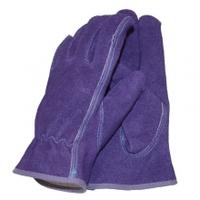 Town & Country Premium Suede Ladies Gardening Gloves, Medium, Suede