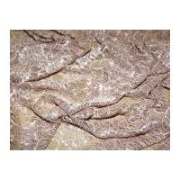 Tocca Corded Lace with Scallop Dress Fabric Pink