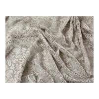 Tocca Corded Lace with Scallop Dress Fabric Mink