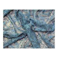 Tocca Corded Lace with Scallop D...