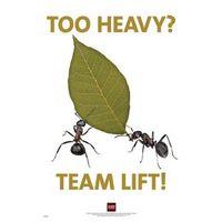 TOO HEAVY TEAM LIFT - -