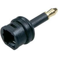 Toslink Digital Audio Adapter [1x Optical plug 3.5mm - 1x Toslink socket (ODT)] 0 m Black SpeaKa Professional