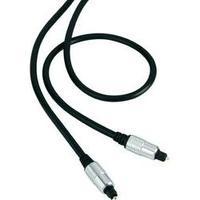 Toslink Digital Audio Cable [1x Toslink plug (ODT) - 1x Toslink plug (ODT)] 0.50 m Black SpeaKa Professional