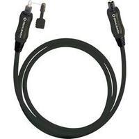 toslink digital audio cable 1x toslink plug odt 1x toslink plug odt 15 ...