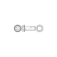 Tooth-lock screws M6 10 mm Hex head Steel 500 pc(s) TOOLCRAFT 161374