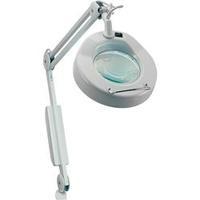 toolcraft 22 w 1 75 x magnifying workshop lamp with clamp