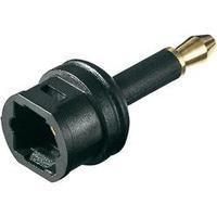 Toslink Digital Audio Adapter [1x Optical plug 3.5mm - 1x Toslink socket (ODT)] 0 m Black Goobay