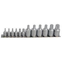 Torx Socket Set of 12 1/4 & 3/8in Square Drive