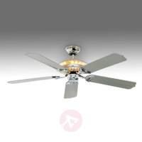 Tornado ceiling fan, silver-grey