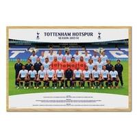 Tottenham Hotspur Team Photo 13/14 Poster Beech Framed - 96.5 x 66 cms (Approx 38 x 26 inches)
