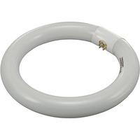 Toolcraft 821595 22W G10q Fluorescent Ring Shape Bulb