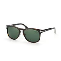 Tom Ford Franklin TF 0346/S 56N