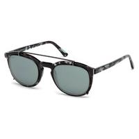 TODS Sunglasses TO0181 55C