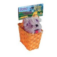 Toto in Basket