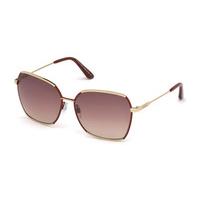 TODS Sunglasses TO0185 33F