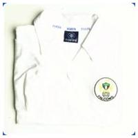 Toronto Falcons 1970s Shirt