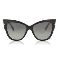 TOM FORD Anoushka Sunglasses