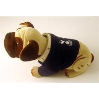 Tottenham FC Nodding Dog