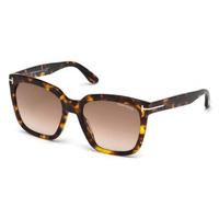 Tom Ford Sunglasses FT0502 52F