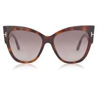 TOM FORD Anoushka Sunglasses