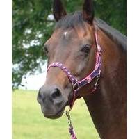 tottie vegas headcollar and leadrope pack