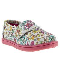 toms seasonal classics