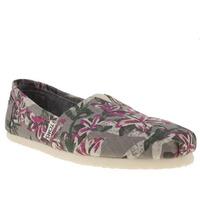 toms classic seasonal floral