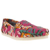 toms classic seasonal floral