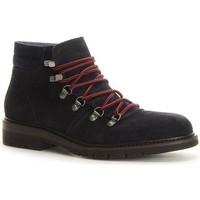 tommy hilfiger t2285runk 2b mens low ankle boots in multicolour