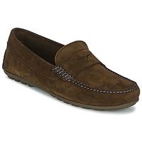 Tommy Hilfiger ALONZO 5B men\'s Loafers / Casual Shoes in brown