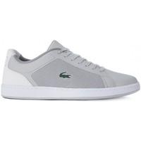 tommy hilfiger lacoste endliner 217 mens shoes trainers in multicolour