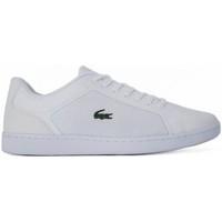 Tommy Hilfiger Lacoste Endliner 116 men\'s Shoes (Trainers) in White