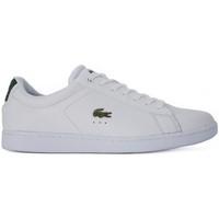 Tommy Hilfiger Lacoste Carnaby Evo S2 men\'s Shoes (Trainers) in White