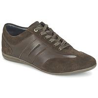 tommy hilfiger otis 2c mens shoes trainers in brown