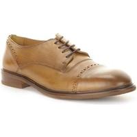 tommy hilfiger c2285asper 1a mens casual shoes in brown