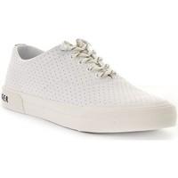 Tommy Hilfiger Yarmouth 1A women\'s Shoes (Trainers) in White