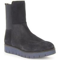 tommy hilfiger w1285indsor 1b womens mid boots in multicolour