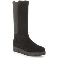 tommy hilfiger w1285indsor 2b womens high boots in black